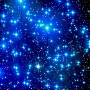 Meet your Posher, Nadine